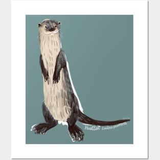 Huillin river otter 2 Posters and Art